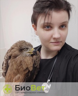Агибалова Полина Николаевна