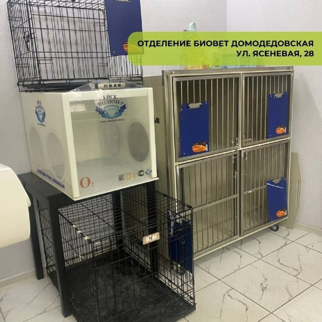 Ветклиника Домодедовская БиоВет — фото 18