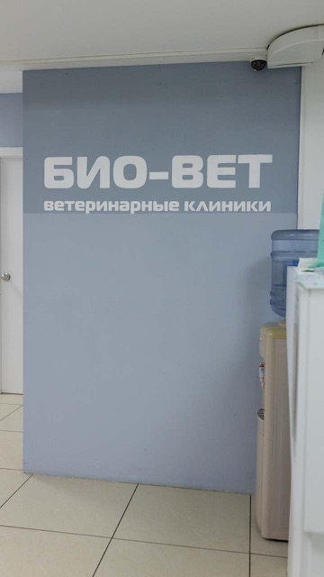 Ветклиника Хорошёво-Мнёвники БиоВет БиоВет — фото 15