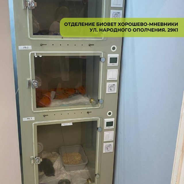 Ветклиника Хорошёво-Мнёвники БиоВет — фото 25