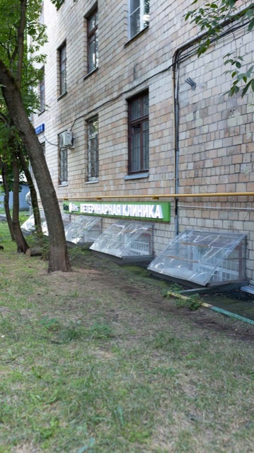 Ветклиника Первомайская БиоВет БиоВет — фото 2