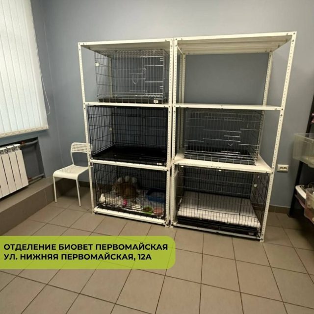 Ветклиника Первомайская БиоВет — фото 25