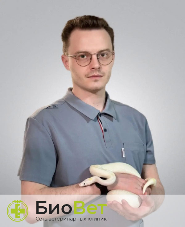 Ветеринарный врач Ганжа Егор Юрьевич