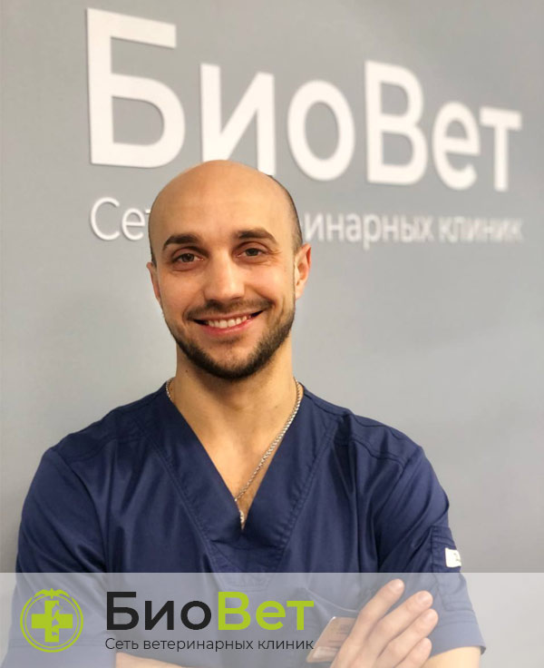 Фатеев Виталий Анатольевич — терапевт, ветеринарный врач БиоВет