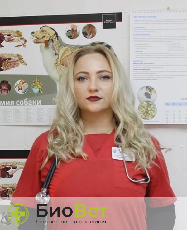 Косенко Елена Геннадьевна — терапевт, ветеринарный врач БиоВет