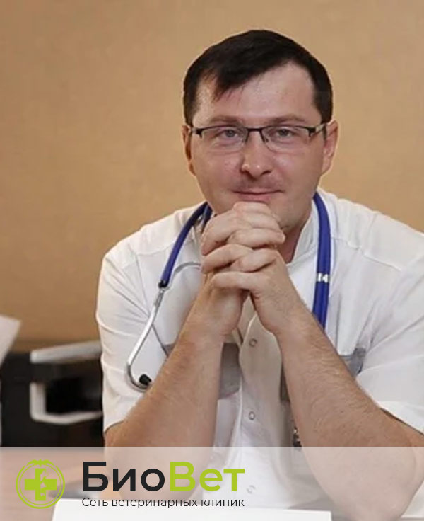 Ветеринарный врач Медников Александр Михайлович
