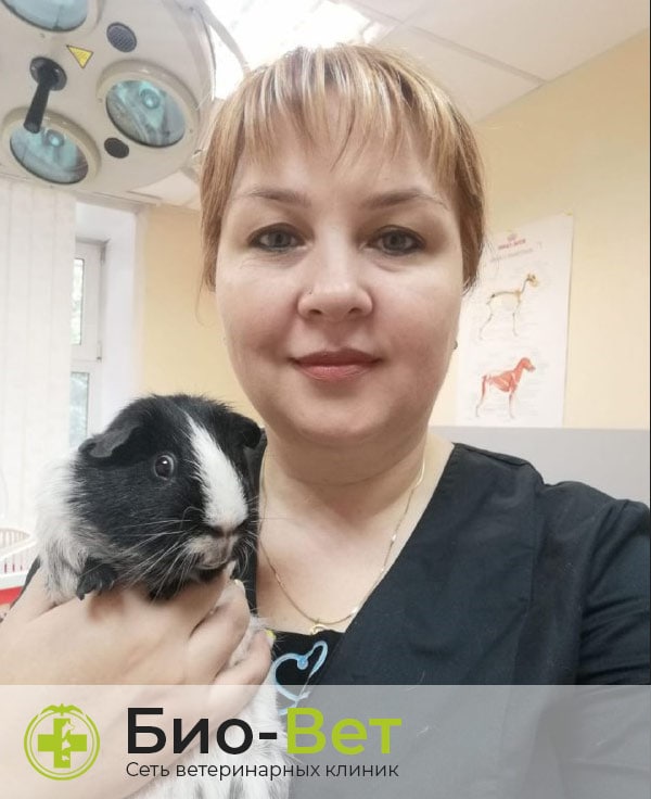 Николашина Татьяна Владимировна — терапевт, ветеринарный врач БиоВет