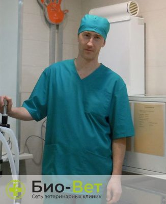 Новиков Константин Евгеньевич — терапевт, ветеринарный врач БиоВет