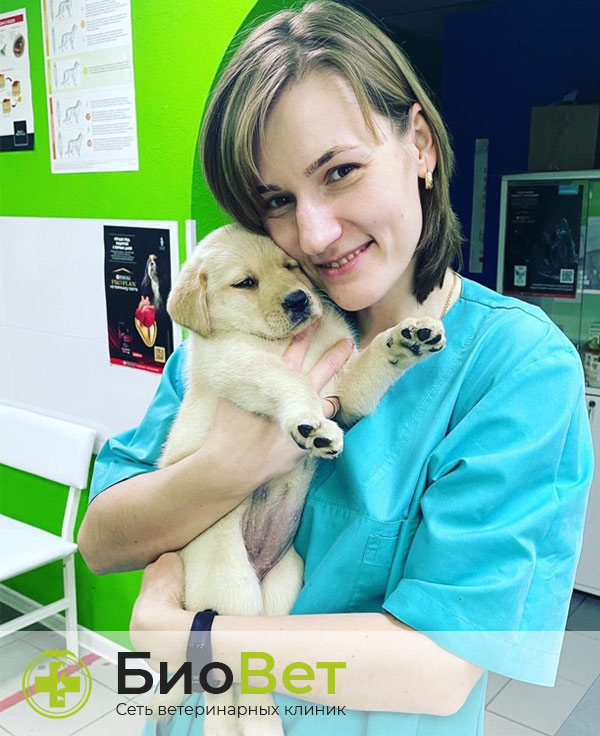 Якухина Мария Валерьевна — терапевт, ветеринарный врач БиоВет