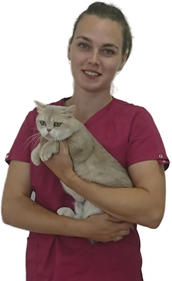 Ахова Дарья Александровна