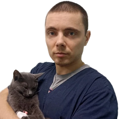 Фоменко Вячеслав Геннадиевич — терапевт, ветеринарный врач БиоВет
