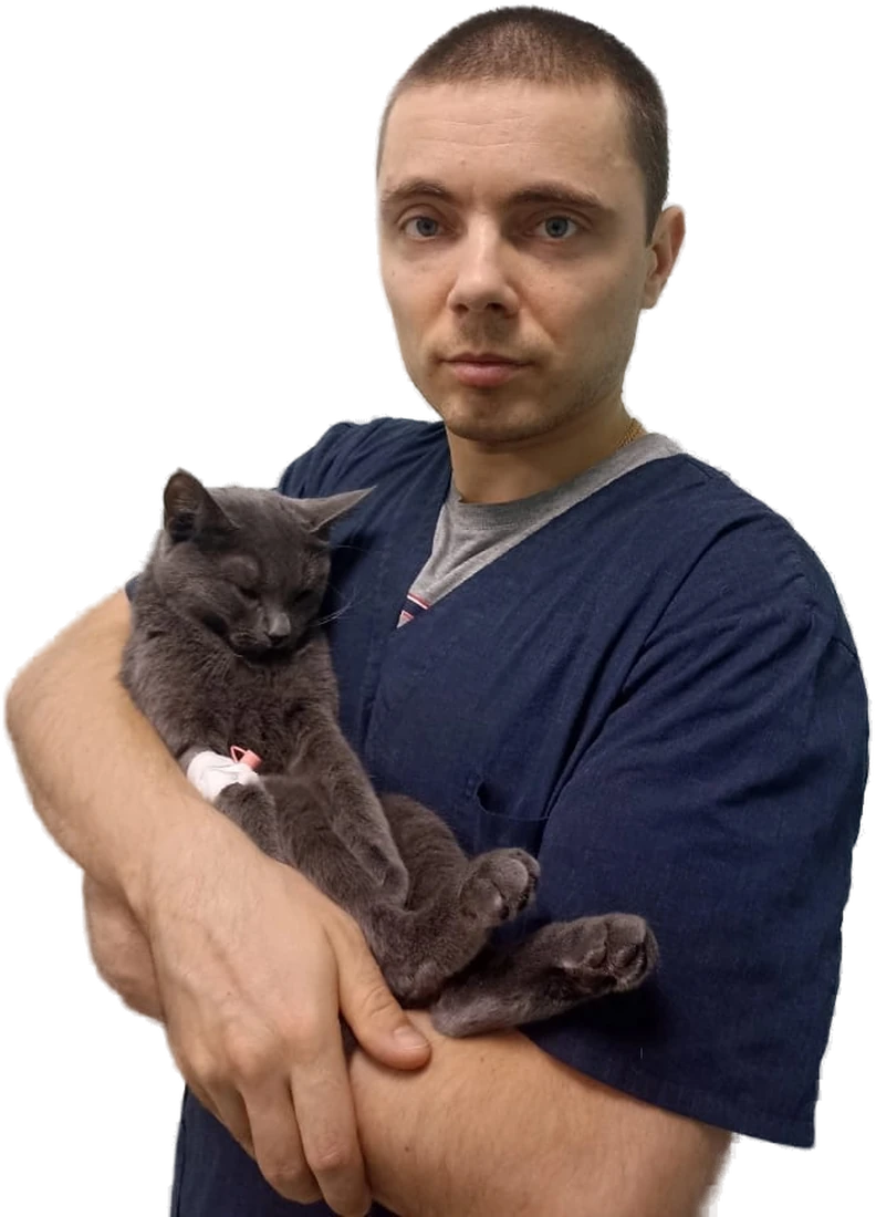 Фоменко Вячеслав Геннадиевич
