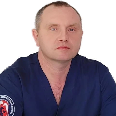 Коротенко Иван Алексеевич — терапевт, ветеринарный врач БиоВет