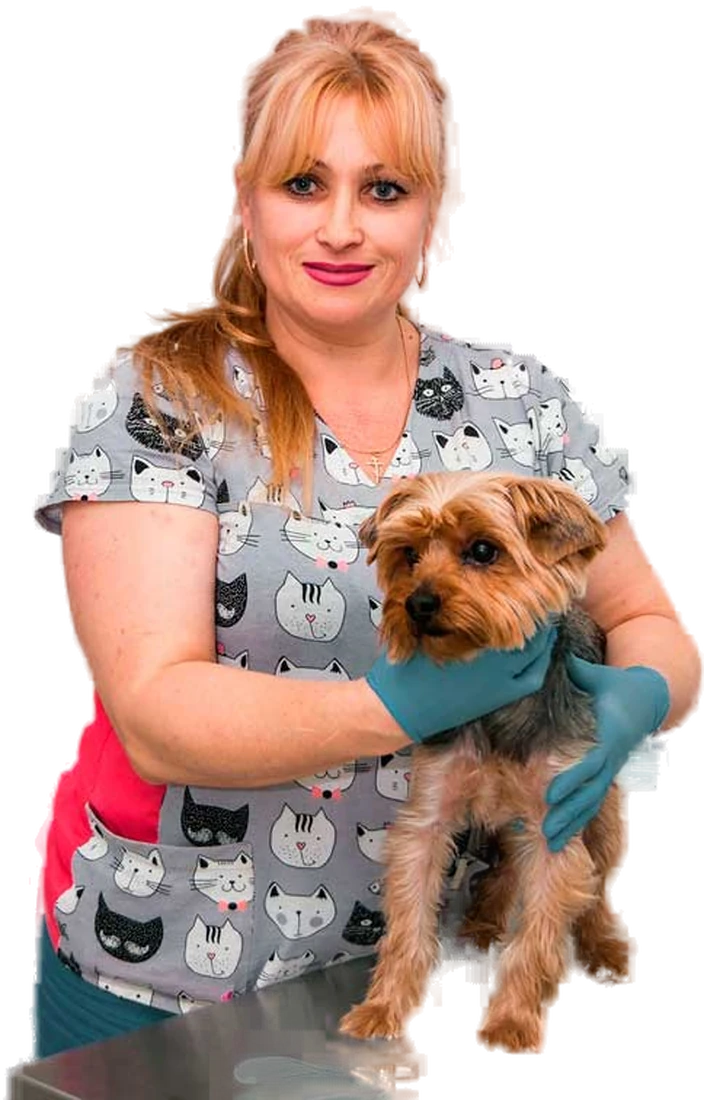 Мажулина Лариса Николаевна