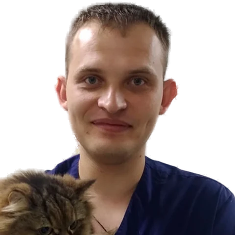 Новиков Николай Александрович — терапевт, ветеринарный врач БиоВет