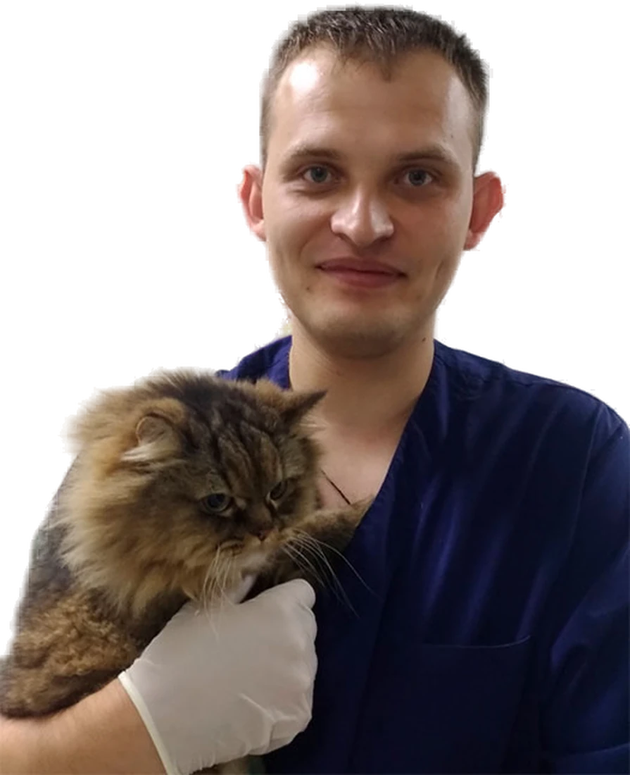 Новиков Николай Александрович