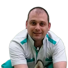Плотников Василий Владимирович — терапевт, ветеринарный врач БиоВет
