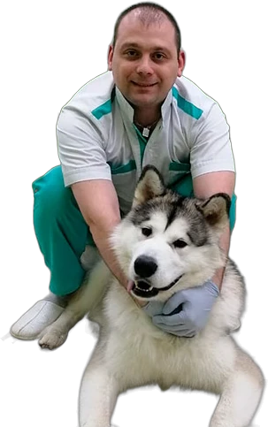 Плотников Василий Владимирович