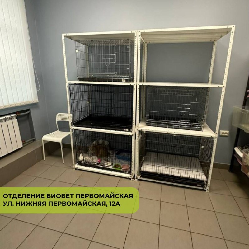 Стеллаж с клетками для передержки животных в отделении «БиоВет Первомайская»