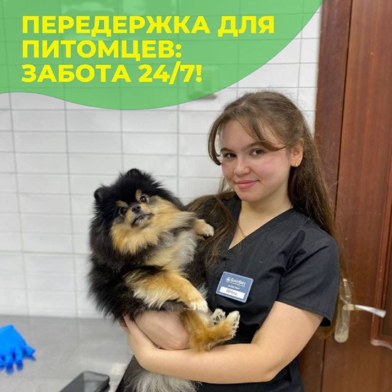 Постоялица зоогостиницы «БиоВет» Моника на руках у сотрудницы клиники