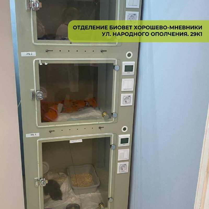 Кислородные боксы ОРИТ в клинике «БиоВет»: отделение Хорошёво-Мнёвники с пациентами