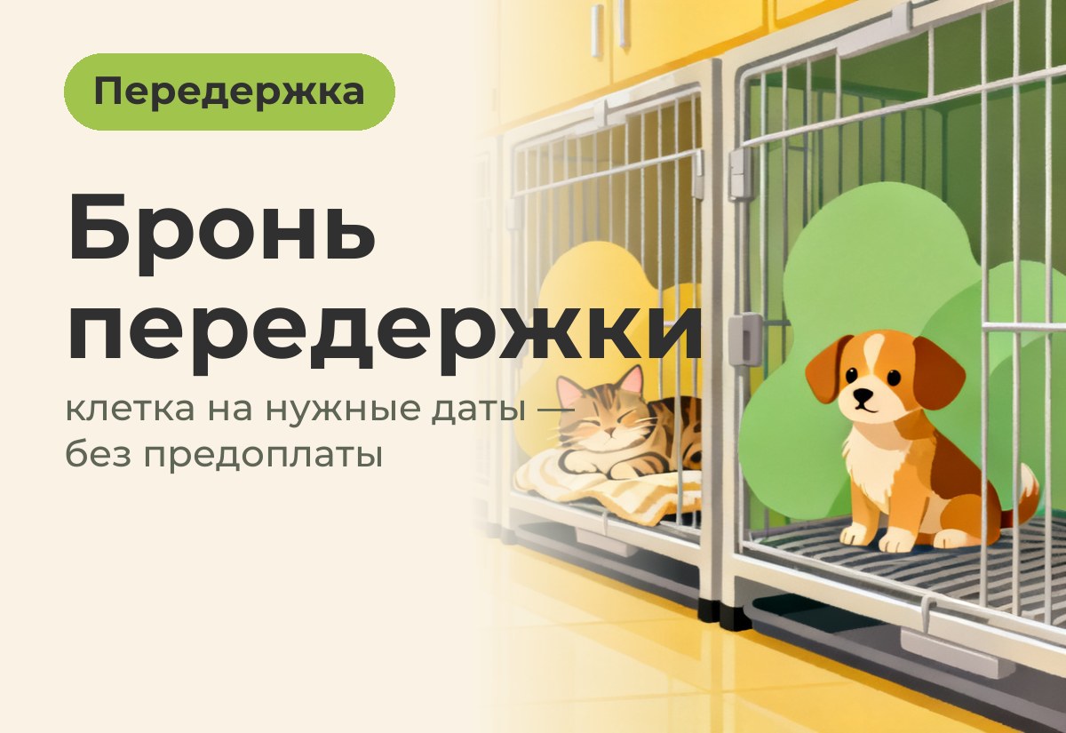 Бронируйте клетки для передержки заранее