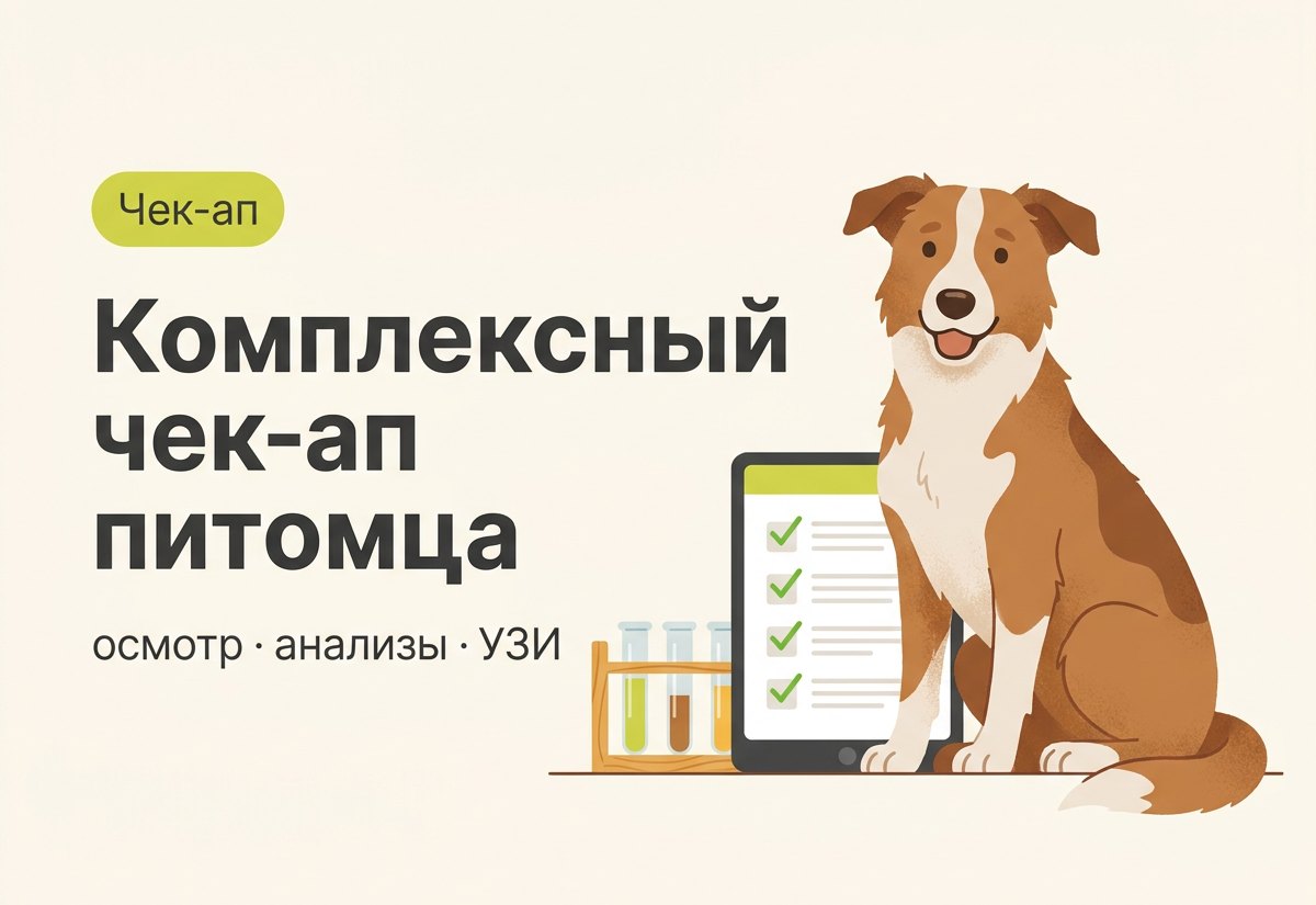 Комплексный чек-ап питомца по специальной цене