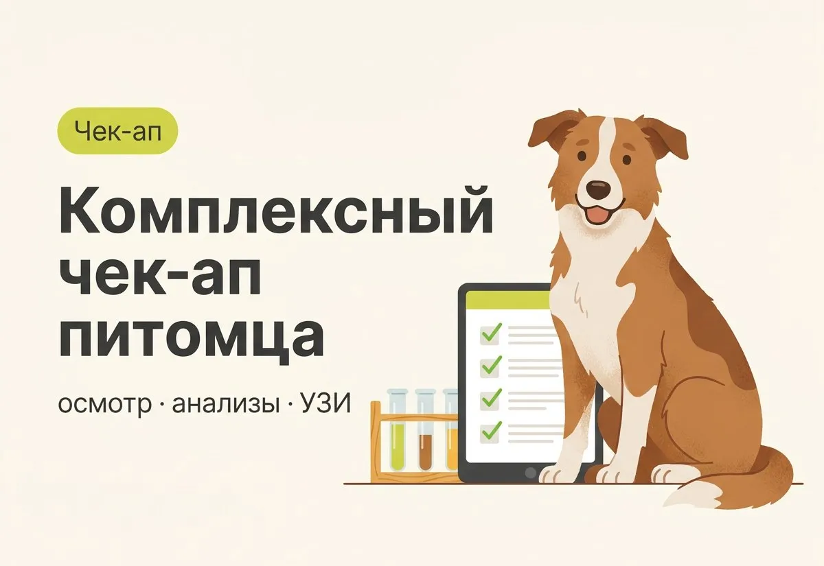 Комплексный чек-ап питомца по специальной цене