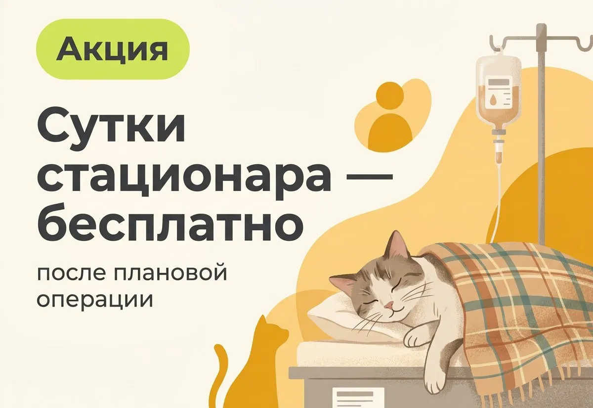Сутки стационара после операции — бесплатно