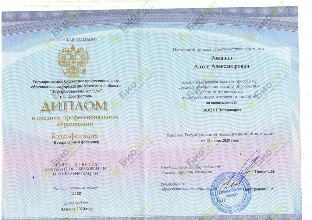 Романов Антон Александрович