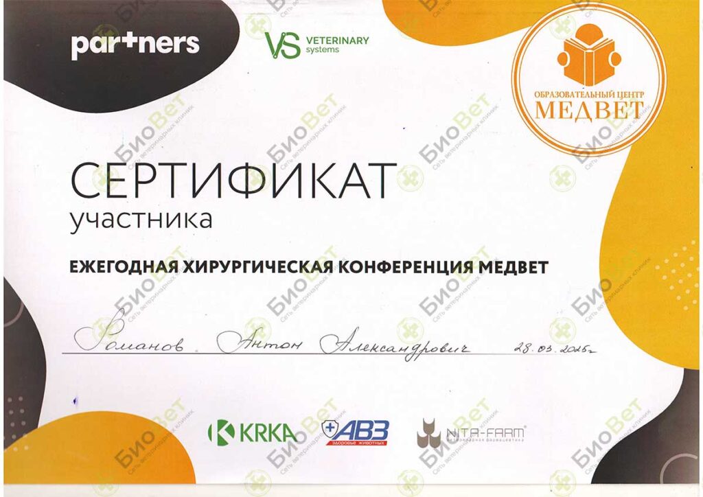 Романов Антон Александрович