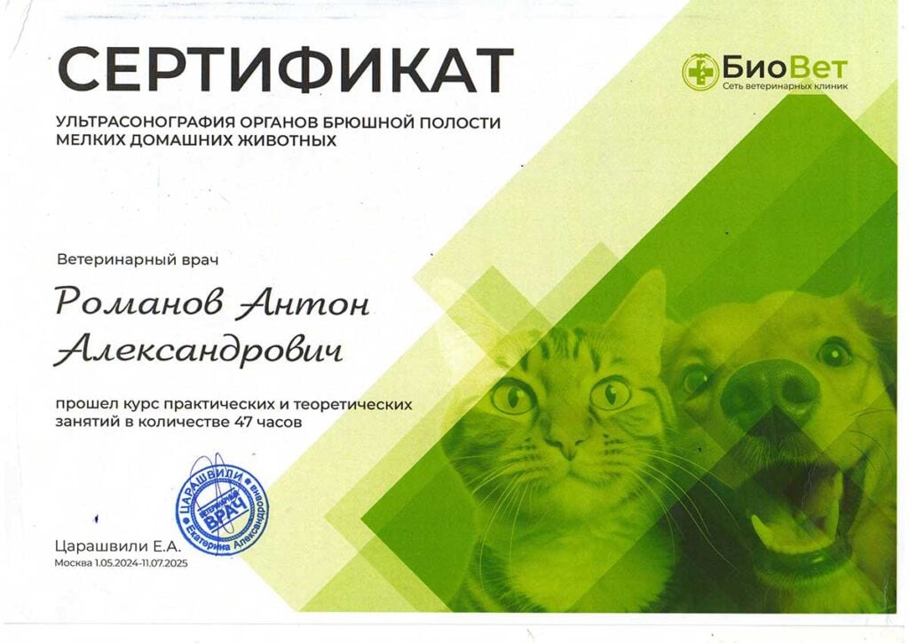Романов Антон Александрович