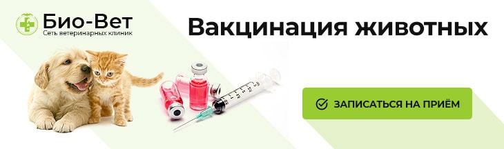 Вакцинация животных в Москве