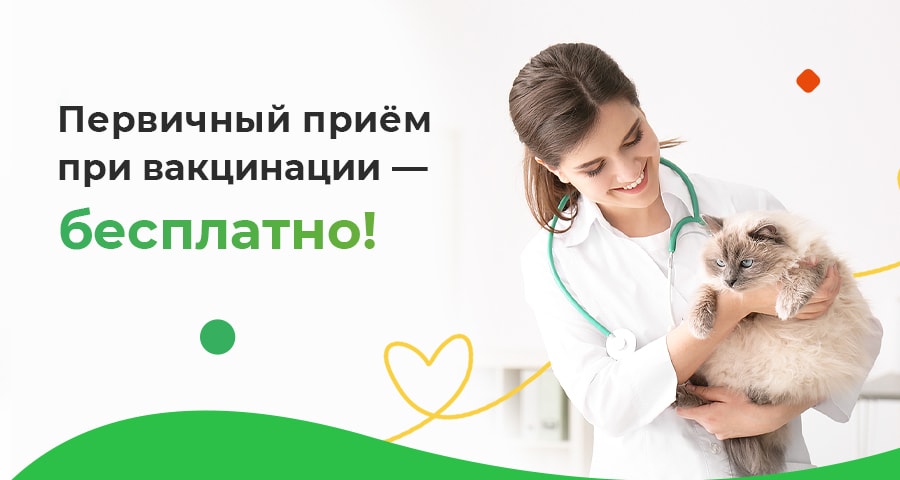 Акция: Бесплатный ветеринарный осмотр