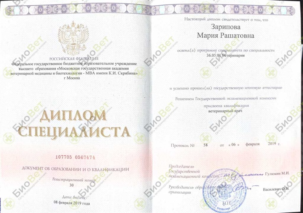 Зарипова Мария Рашатовна