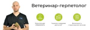 Ветеринар герпетолог на Тульской