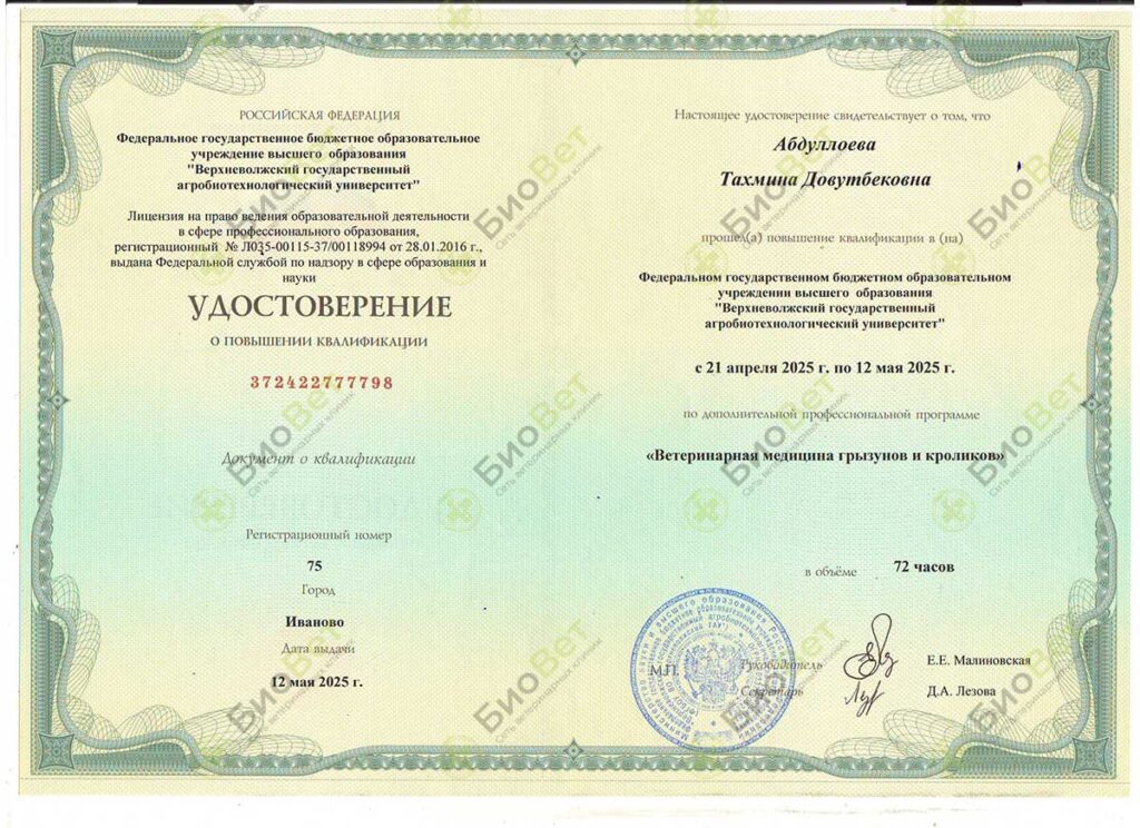 Абдуллаева Тина Довутбековна