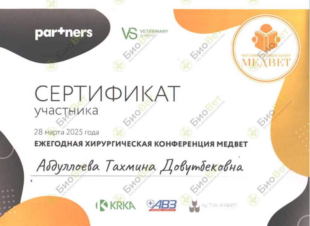 Абдуллаева Тина Довутбековна