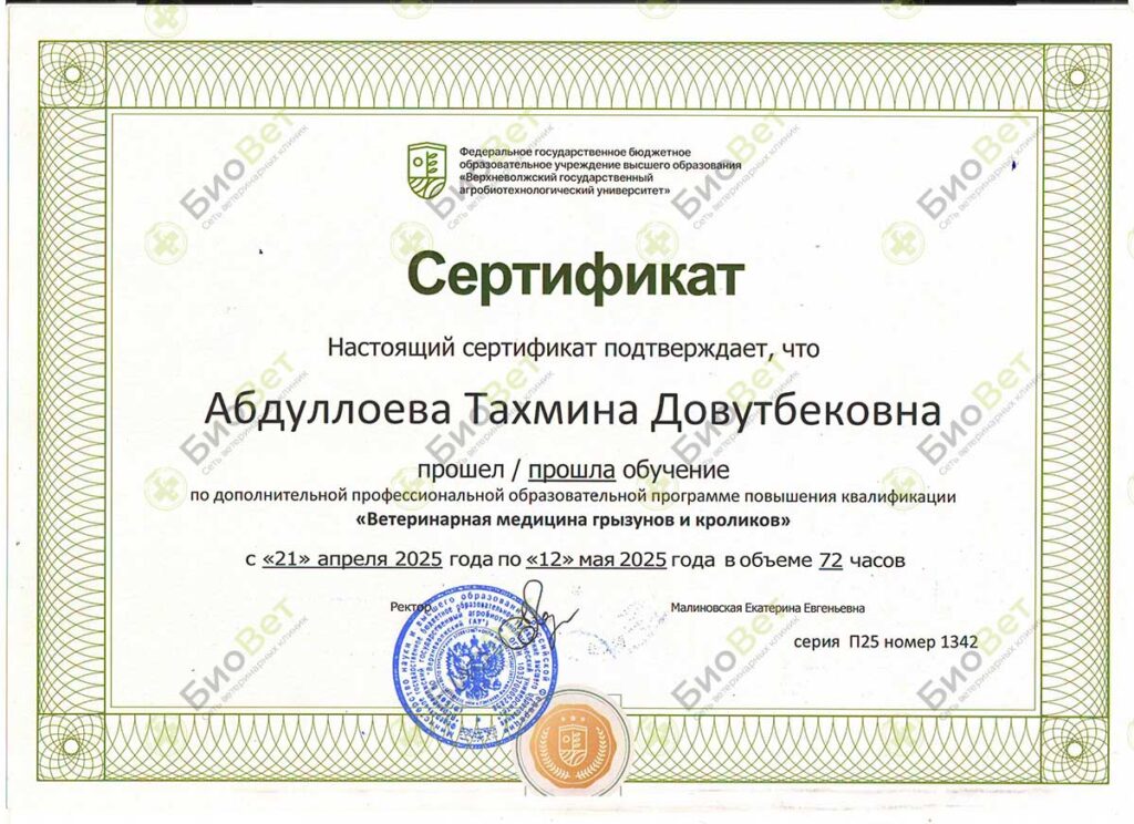Абдуллаева Тина Довутбековна