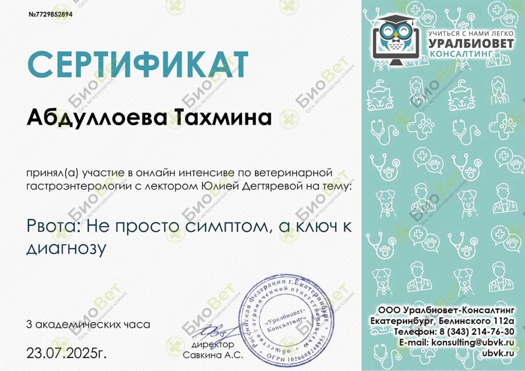 Абдуллаева Тина Довутбековна