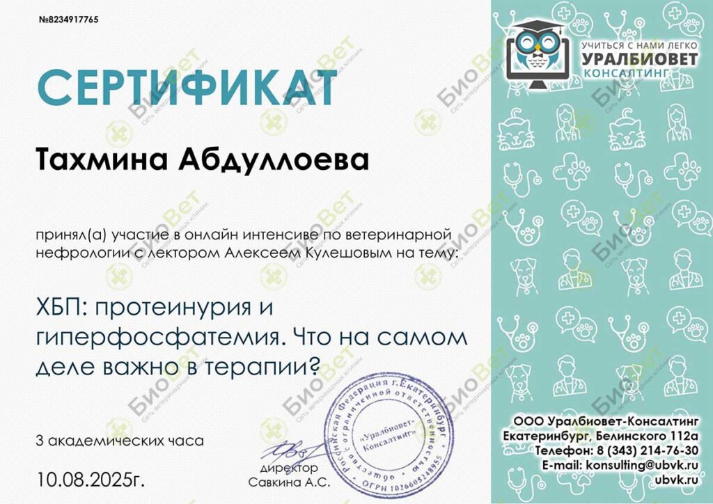 Абдуллаева Тина Довутбековна