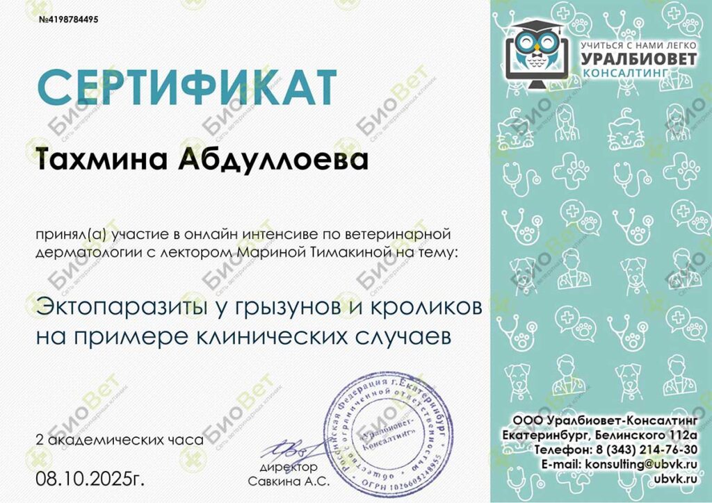 Абдуллаева Тина Довутбековна