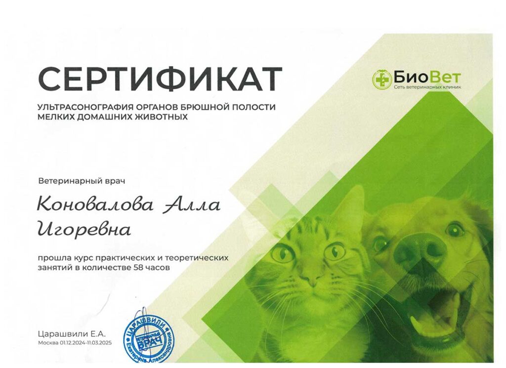 Коновалова Алла Игоревна