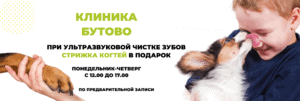 Стрижка когтей в подарок!