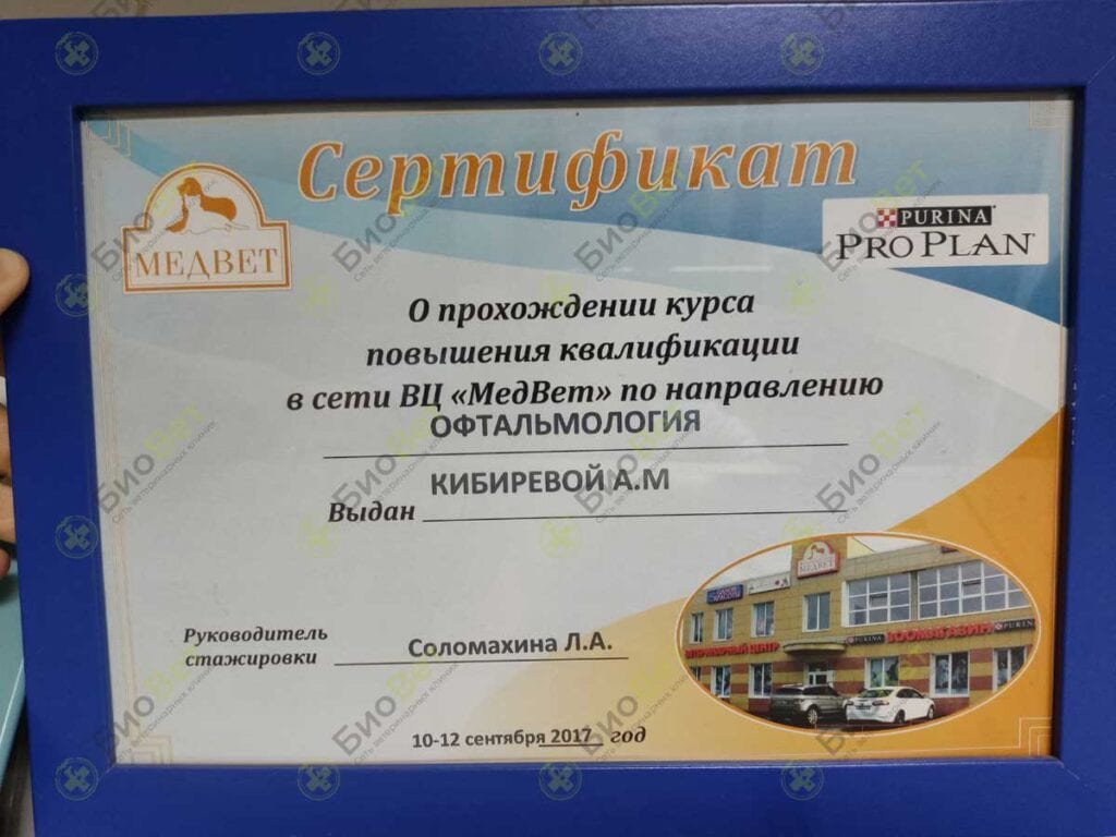 Кибирева Александра Михайловна