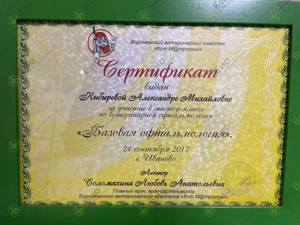 Кибирева Александра Михайловна