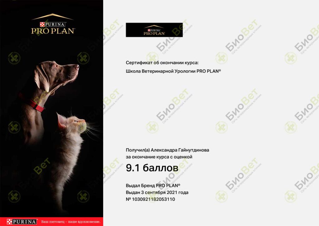 Гайнутдинова Александра Вадимовна
