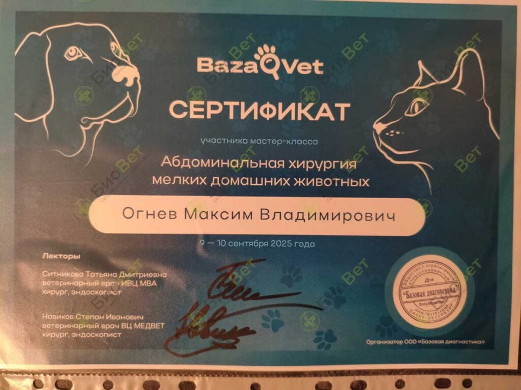 Огнев Максим Владимирович