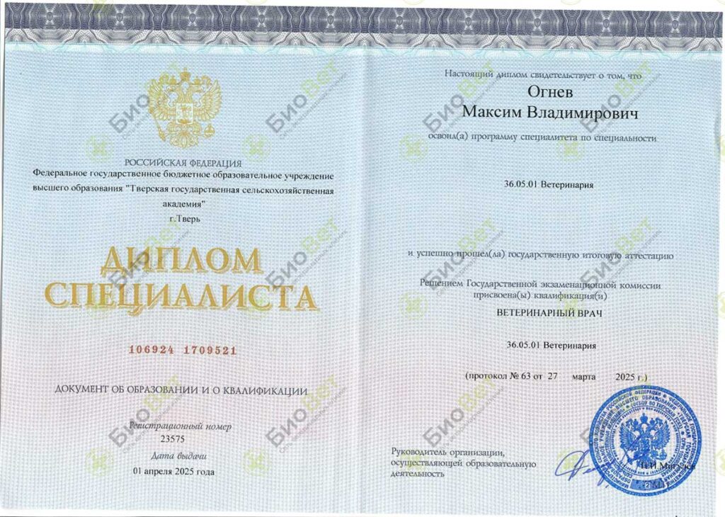 Огнев Максим Владимирович
