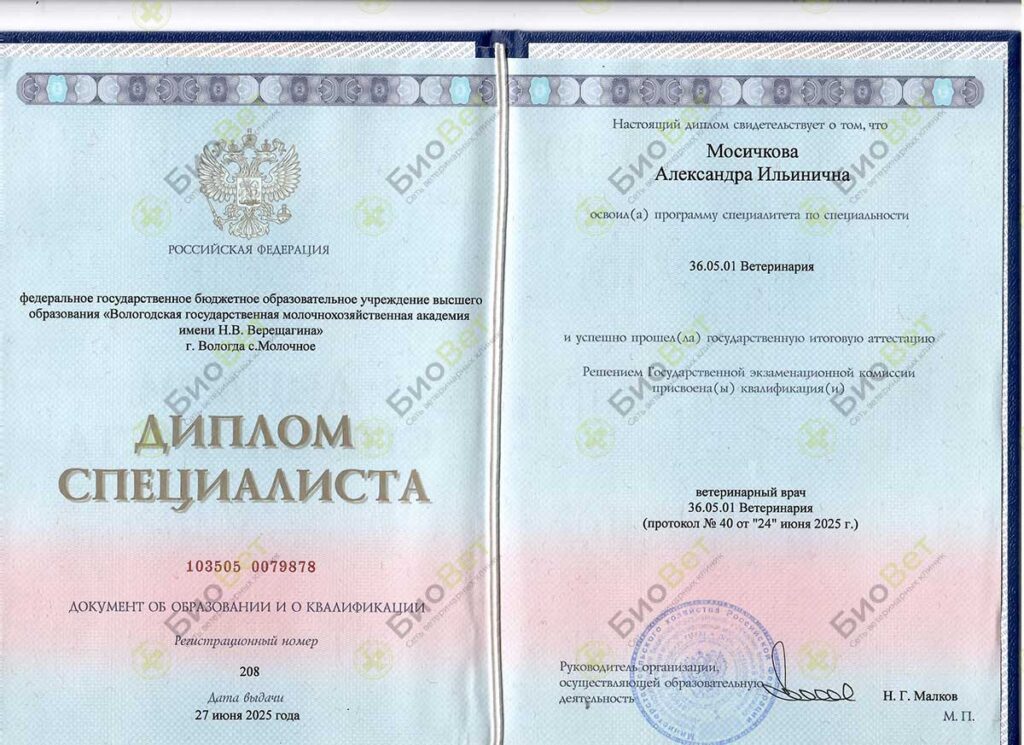 Мосичкова (Салманова) Александра Ильинична
